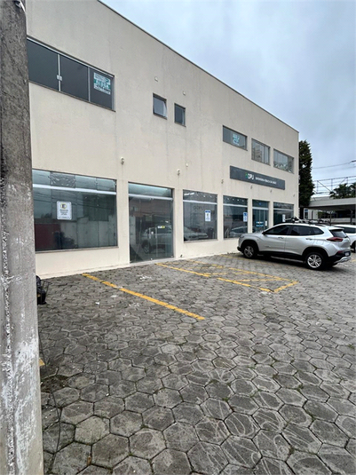 Foto REO1183195