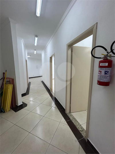 Foto REO1183195