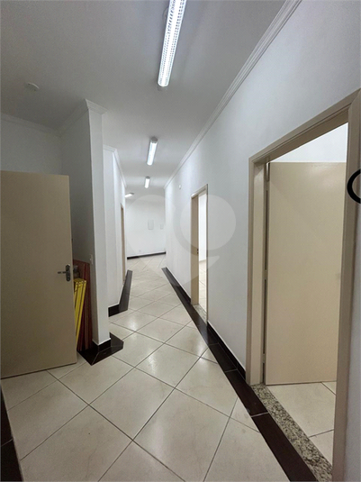 Foto REO1183195