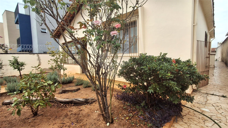 Foto REO1183198