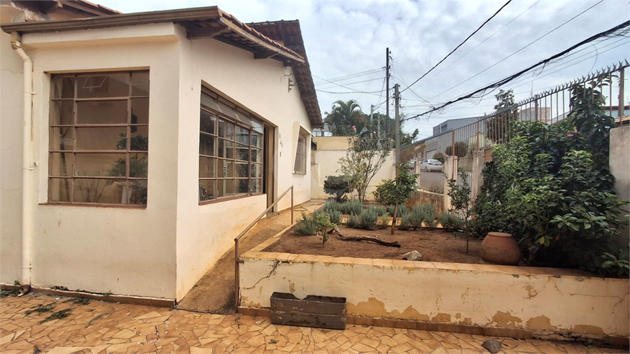 Foto REO1183198