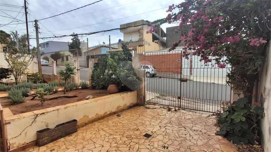 Foto REO1183198