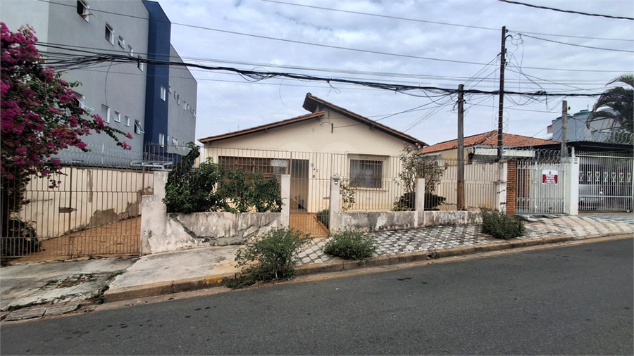Foto REO1183198