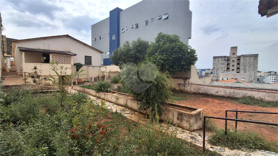 Foto REO1183198