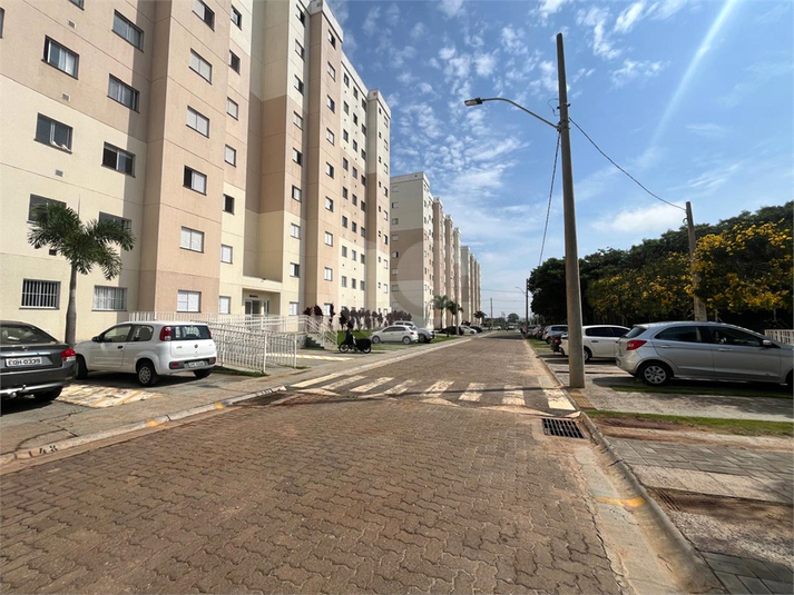 Foto REO1183218