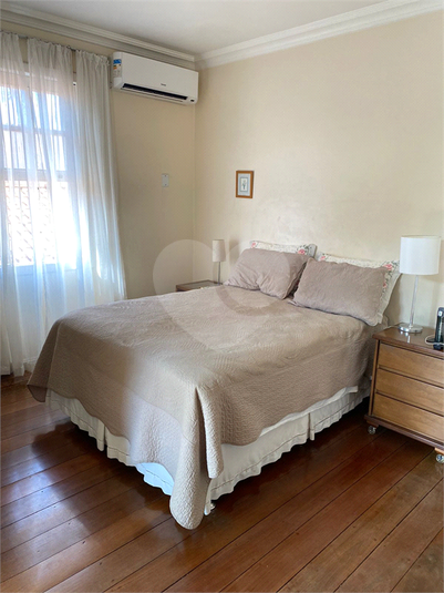 Foto REO1183222