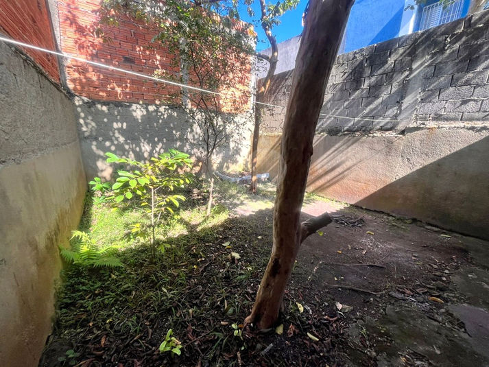 Foto REO1183238