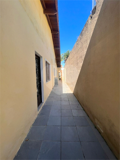 Foto REO1183238