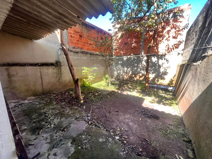 Foto REO1183238