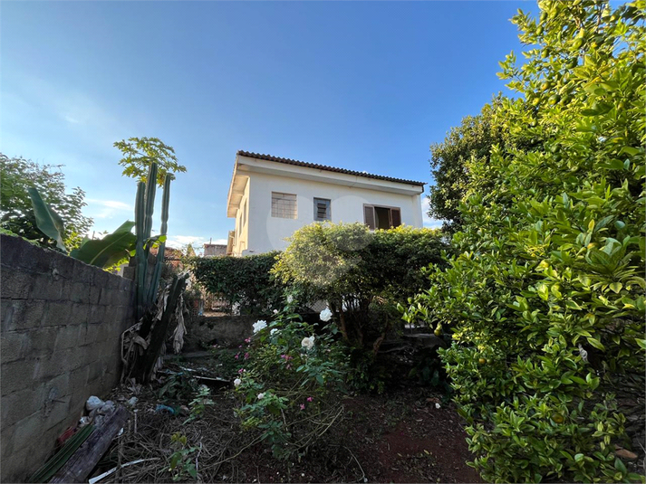 Foto REO1183286