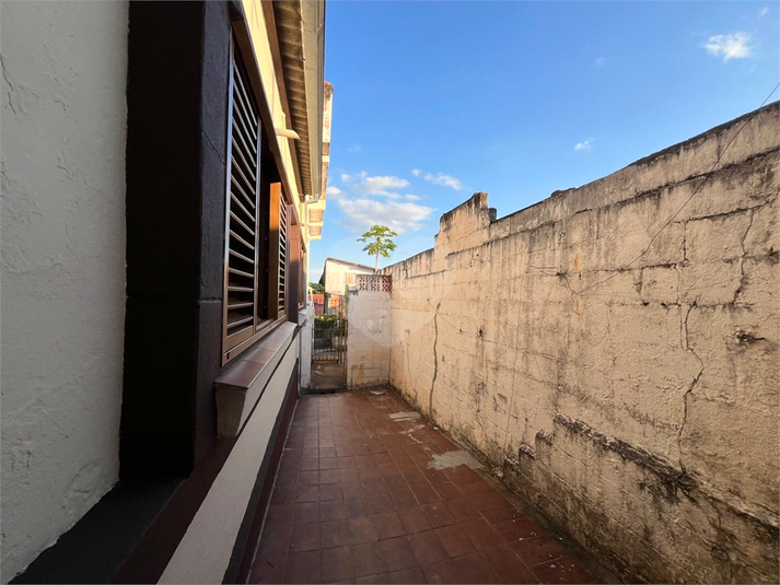 Foto REO1183286