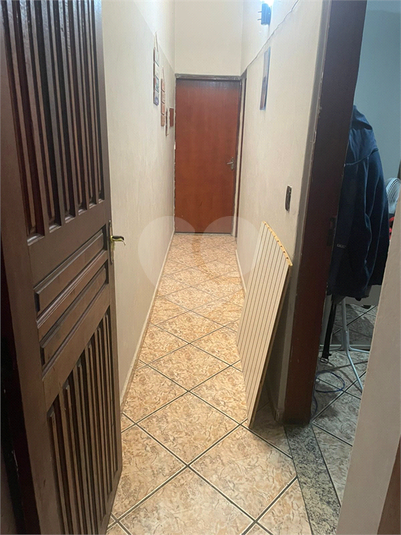 Foto REO1183287