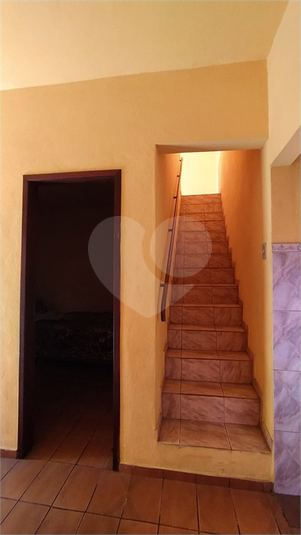 Foto REO1183289
