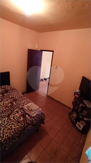 Foto REO1183289