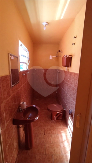 Foto REO1183289