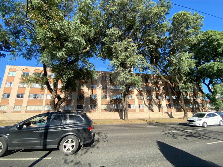 Foto REO1183291
