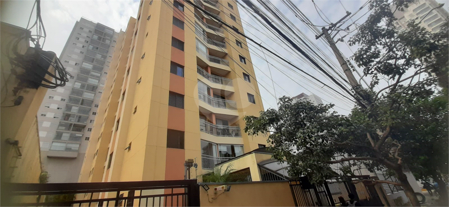 Foto REO1183307