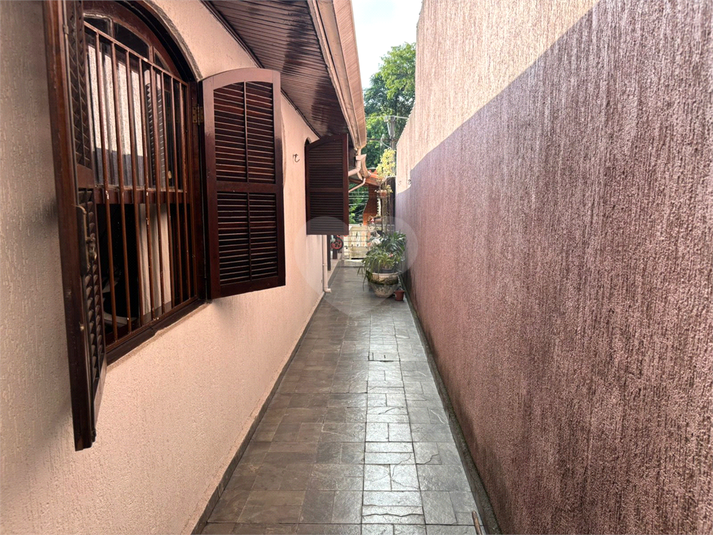 Foto REO1183317