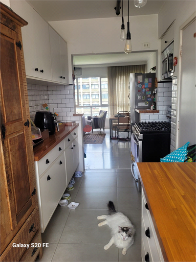 Foto REO1183361