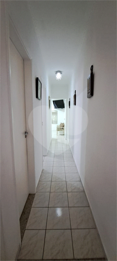 Foto REO1183368
