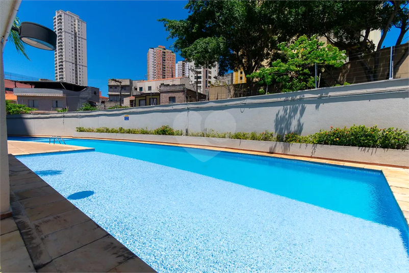 Foto REO1183438