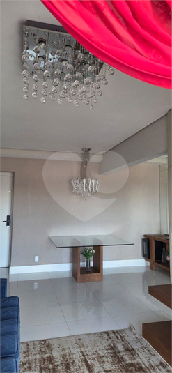 Foto REO1183440