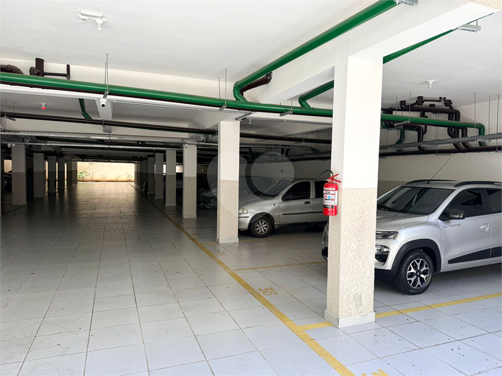 Foto REO1183441