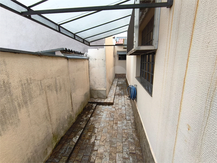 Foto REO1183445