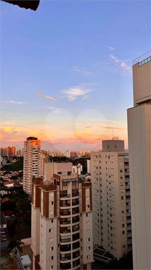 Foto REO1183454