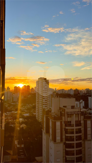Foto REO1183454