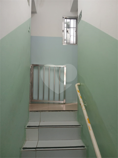 Foto REO1183491