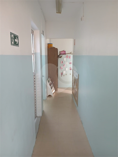 Foto REO1183491