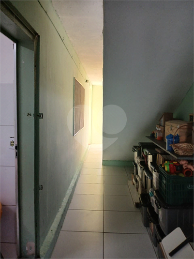 Foto REO1183491