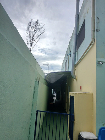 Foto REO1183491