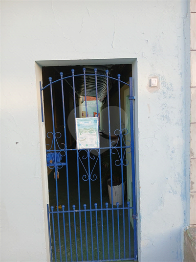 Foto REO1183491