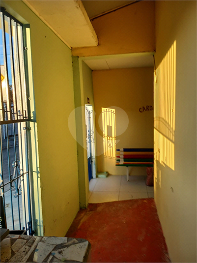 Foto REO1183491
