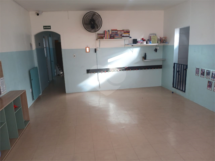 Foto REO1183491
