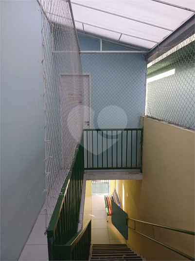 Foto REO1183491