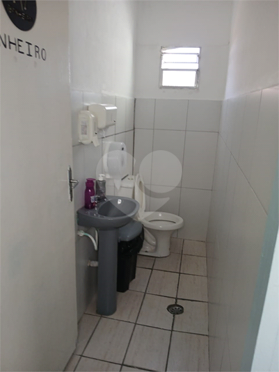 Foto REO1183491