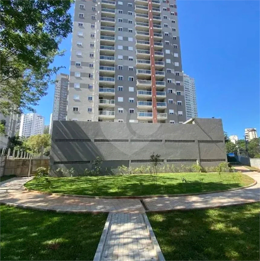 Foto REO1183499
