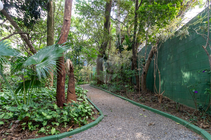 Foto REO1183500