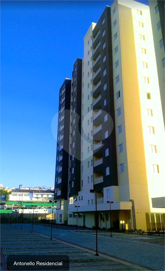 Foto REO1183506