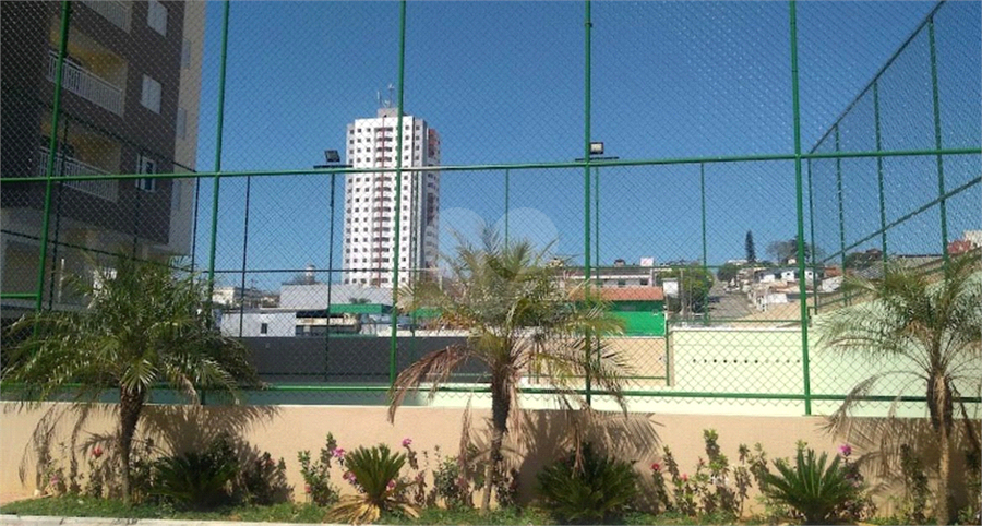 Foto REO1183506