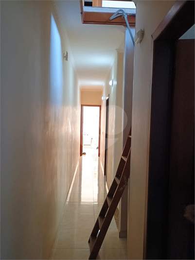 Foto REO1183509