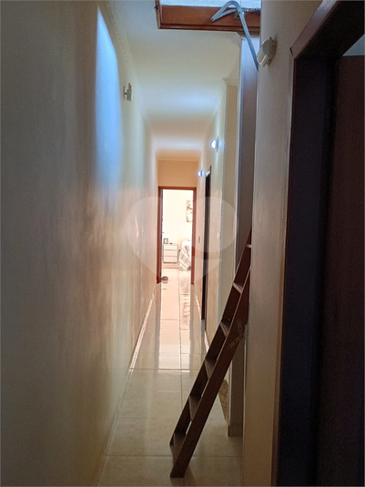 Foto REO1183509
