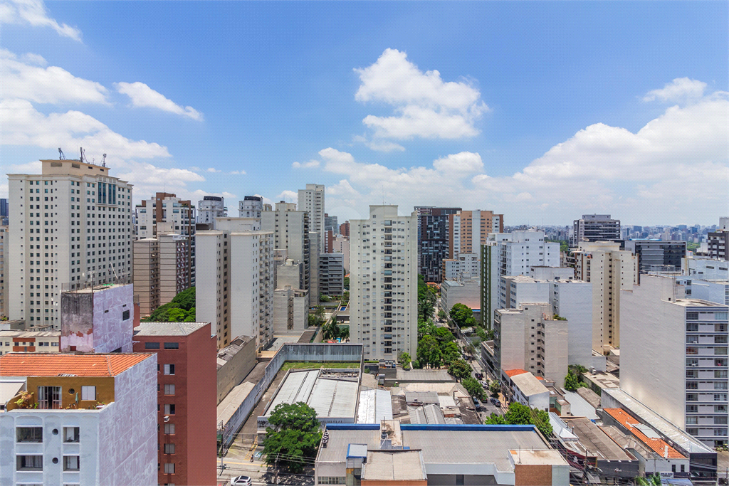 Venda Duplex São Paulo Pinheiros REO118351 19