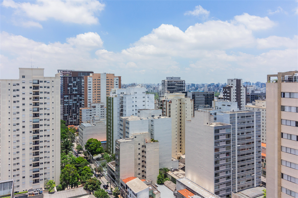 Venda Duplex São Paulo Pinheiros REO118351 20