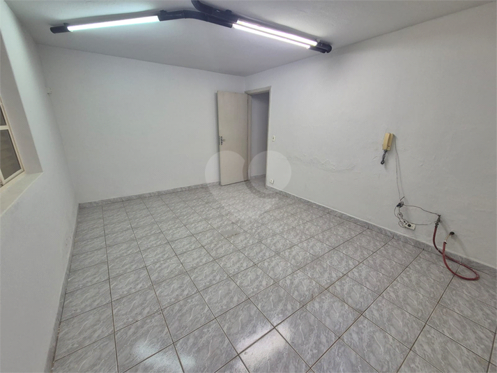 Foto REO1183535