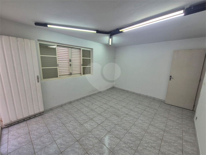 Foto REO1183535