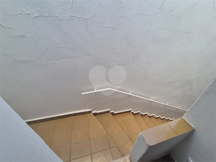Foto REO1183535